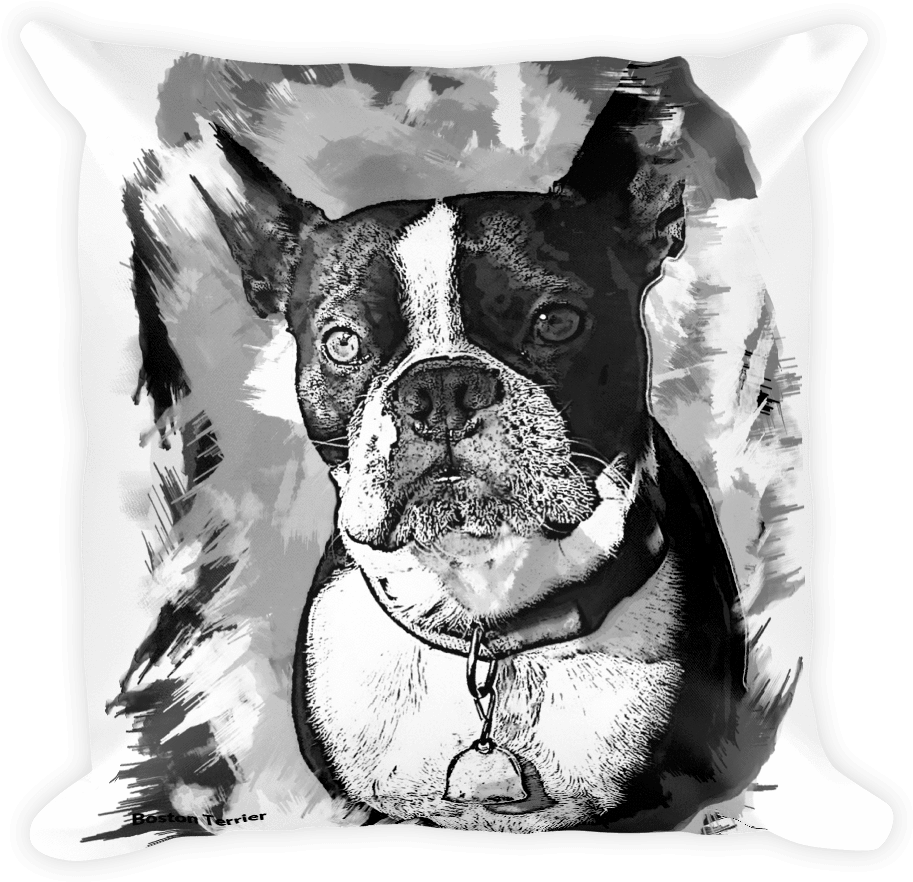 Boston Terrier Artistic Photo Art Decorative Pillow - Art (1000x1000), Png Download