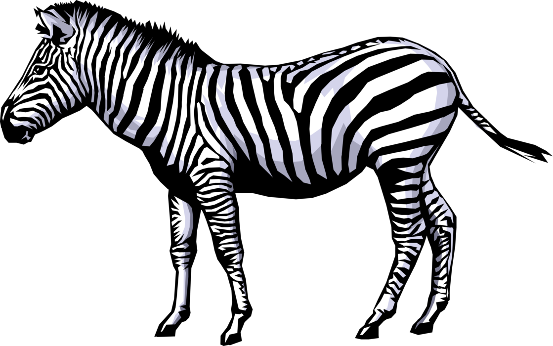 Png Hd Transparent Images - Zebra Clip Art (1119x700), Png Download