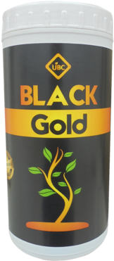 Black Gold - Lizard (375x500), Png Download