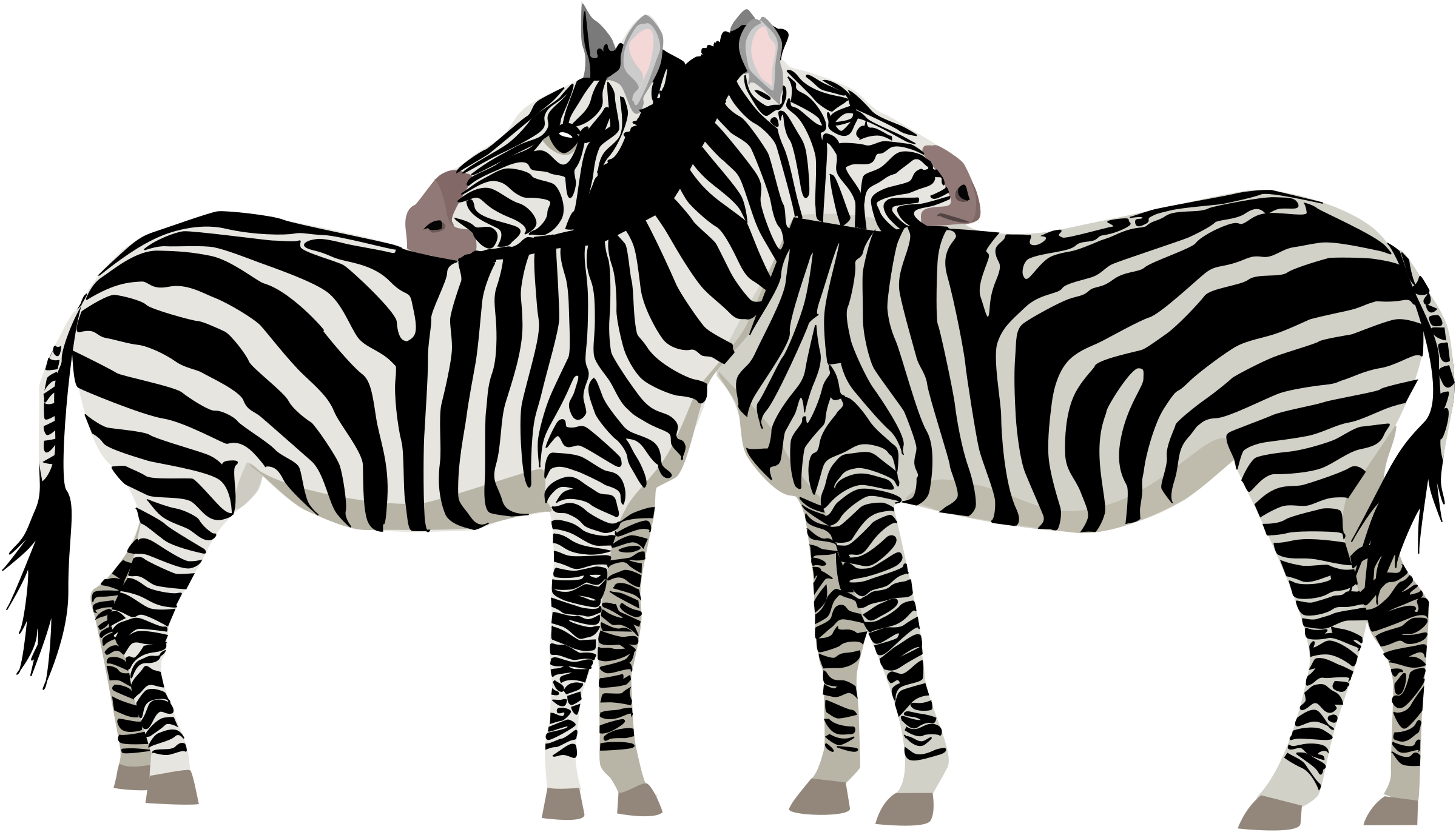 Clip Art Black And White Download Zebras Big Image - Zebras Clipart (2400x1372), Png Download