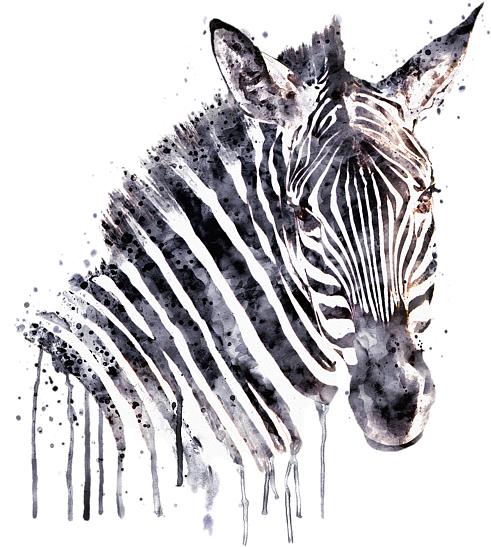 Bleed Area May Not Be Visible - Zebra Head Art (600x600), Png Download