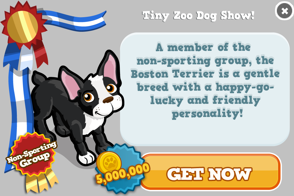Boston Terrier Modal - Gift Aid (960x640), Png Download