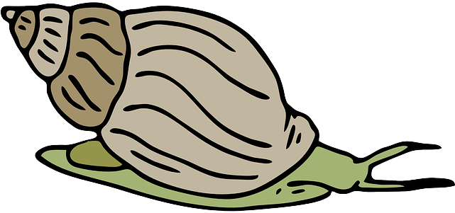 Snail Cliparts (600x277), Png Download