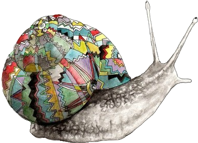 Snail With A Colorful Shell - Illustration Animals (500x500), Png Download