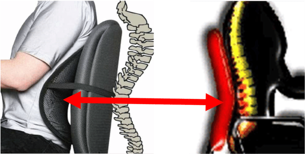 The Position Adopted By A Person Will Affect The Musculoskeletal - Chair With Lumbar Back Support (850x334), Png Download