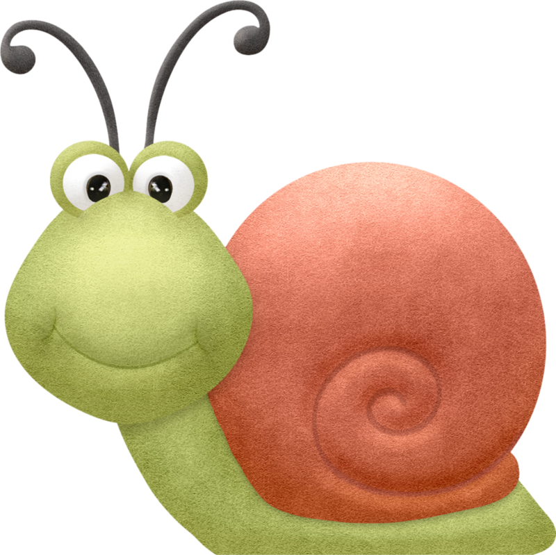 Яндекс - Фотки - Insecte Clipart (800x799), Png Download
