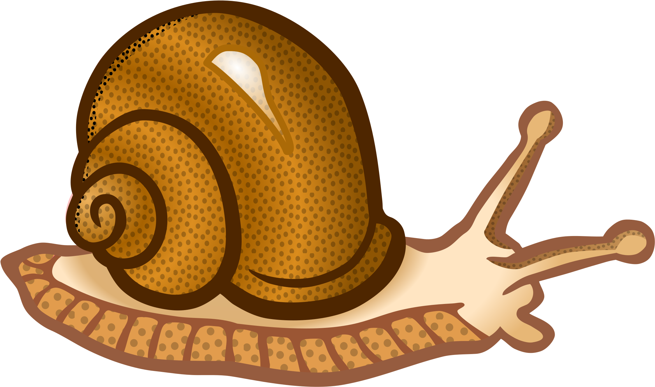 This Free Icons Png Design Of Snail (2400x1481), Png Download