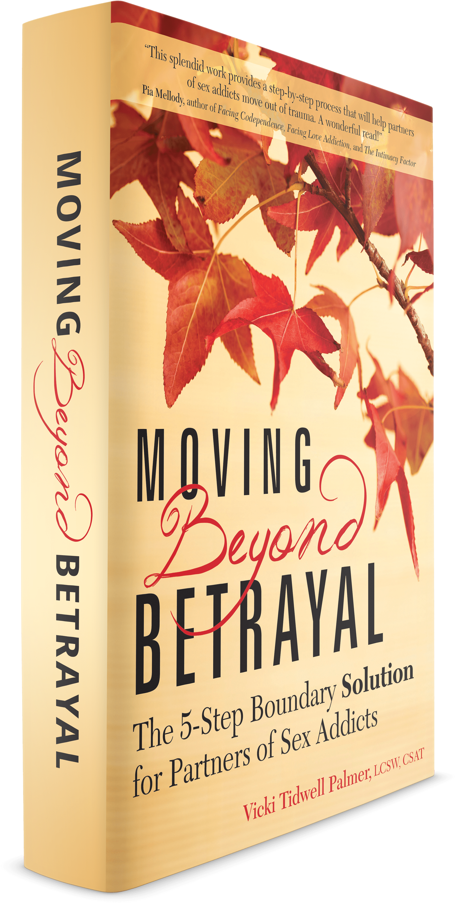 Book Cover Large - Moving Beyond Betrayal: The 5-step Boundary Solution (3000x3491), Png Download