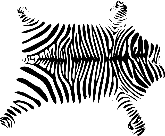 African, Skin, Zebra - Skin Of Animals Clipart (640x531), Png Download
