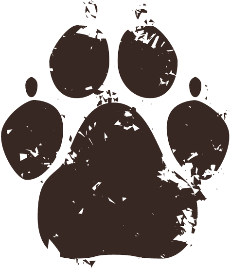 Get $80 Off All 2-week Dog Board & Trains - Paw (565x568), Png Download