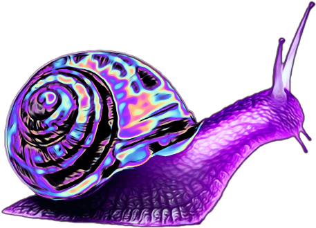Purple Snail (480x480), Png Download