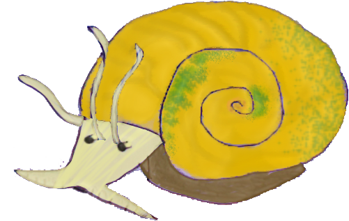 Clip Library Download Applesnail Net View Topic Avatar - Apple Snail Png (640x480), Png Download