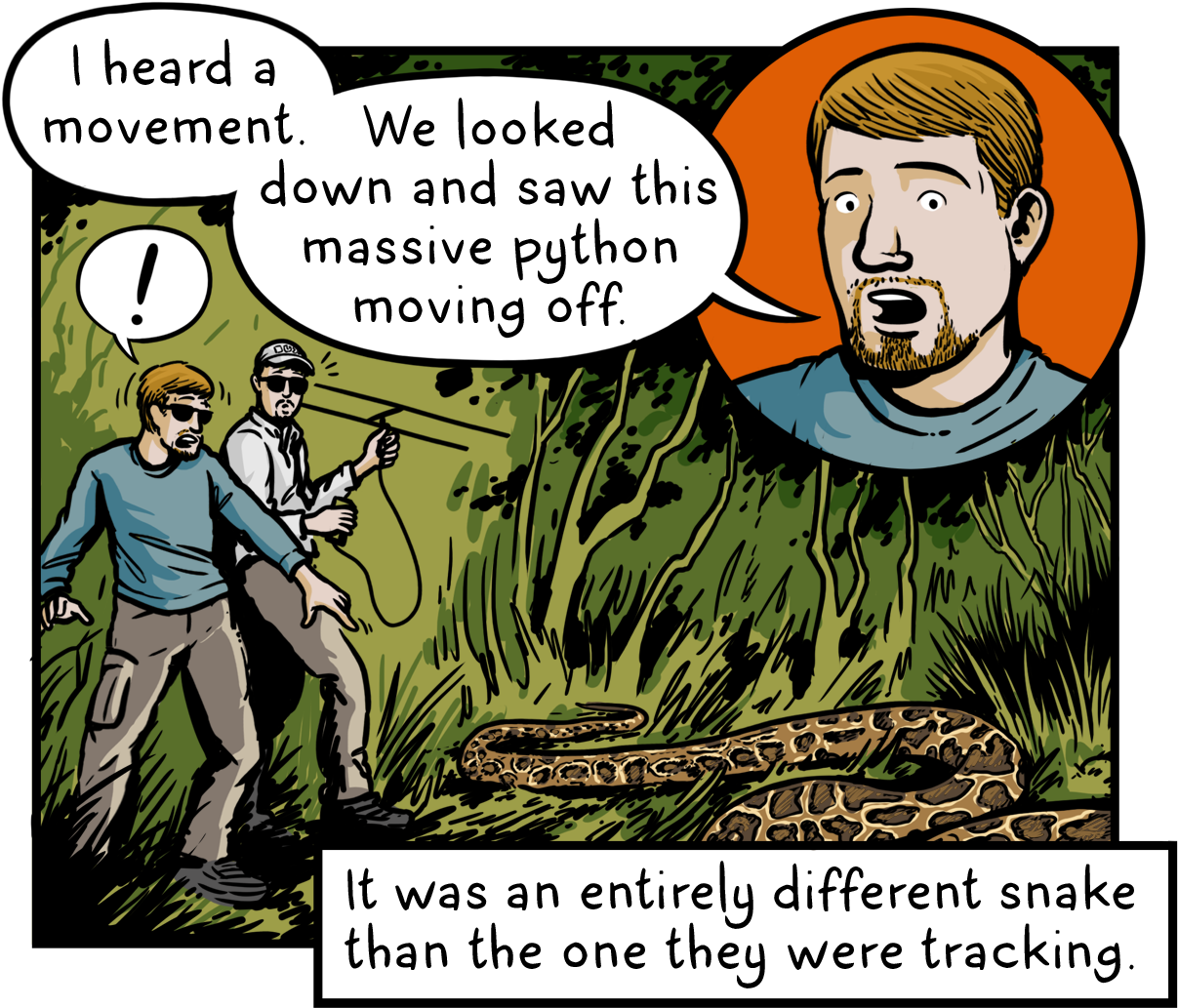 Com/the Snakes That Ate Florida E7a52ea72aab - Cartoon (1221x1049), Png Download