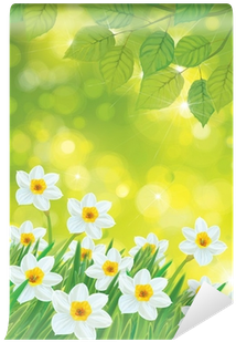 Vector Daffodil Flowers On Spring Background - Printing And Writing Paper (400x400), Png Download