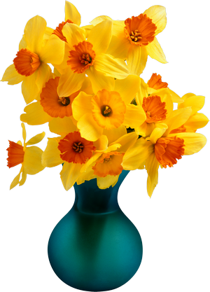 Mimosa And Daffodils - Microsoft Excel 2010セミナーテキスト問題集 (300x417), Png Download