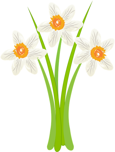 Photo 0 Click To Upload - Personalized Romantic White Daffodils Bag, Women's, (700x700), Png Download