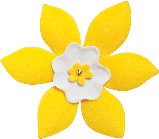 This Month - Canadian Cancer Society Daffodil (537x474), Png Download