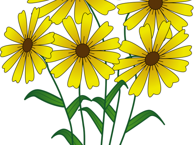 Daffodils Clipart Different Flower - Mother's Day Daisies Tile Coaster (640x480), Png Download