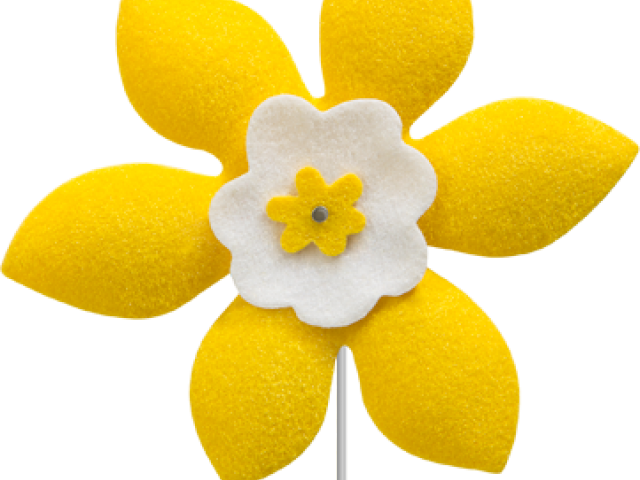 Canadian Cancer Society (640x480), Png Download