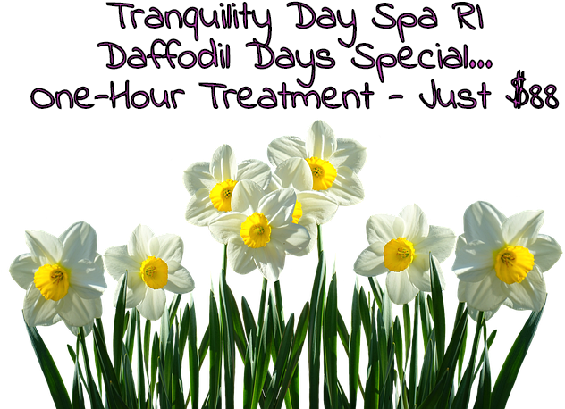 Wickford's Popular Daffodil Days Are On April 7 And - Daffodil (640x475), Png Download