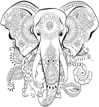 Vector Elephant Mandala - Dibujos Para Colorear Adultos (350x500), Png Download