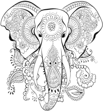 Download Vector Elephant Mandala - Dibujos Para Colorear Adultos ...