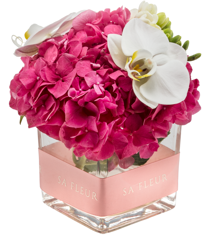 Damask (1920x1080), Png Download