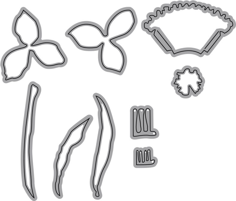 Garden Notes - Daffodil/ Narcissus - Scrapbooking (800x800), Png Download
