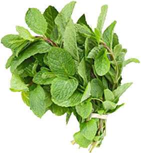 Mint Leaves - Magikware 2 In 1 Manua Hand Juicer Squeezer For Fruits, (400x330), Png Download