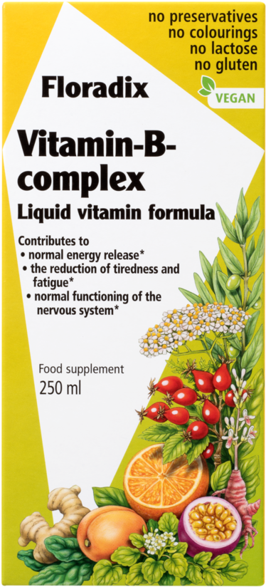 Salus Haus Floradix Vitamin B Complex, Liquid Vitamin - B Complex Vitamins Liquid (1000x1001), Png Download