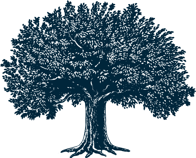 Tree Illustration - Guide To Christian Spiritual Formation: How Scripture, (800x535), Png Download