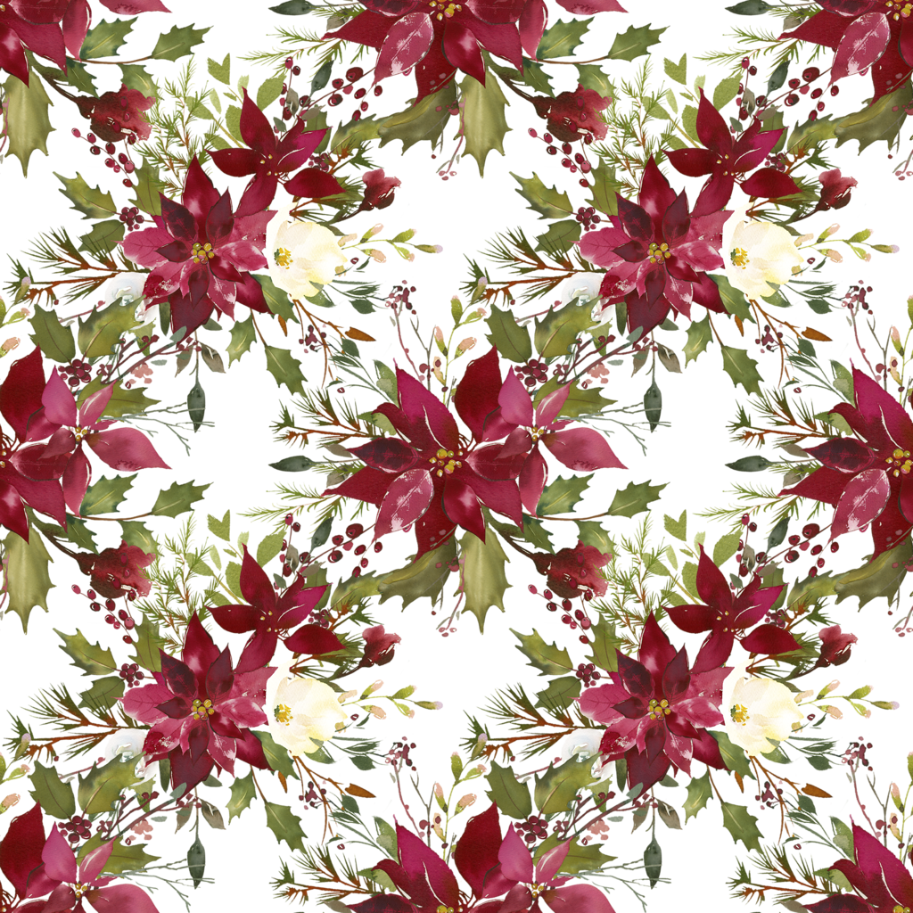 Яндекс - Фотки - Poinsettia (1024x1024), Png Download