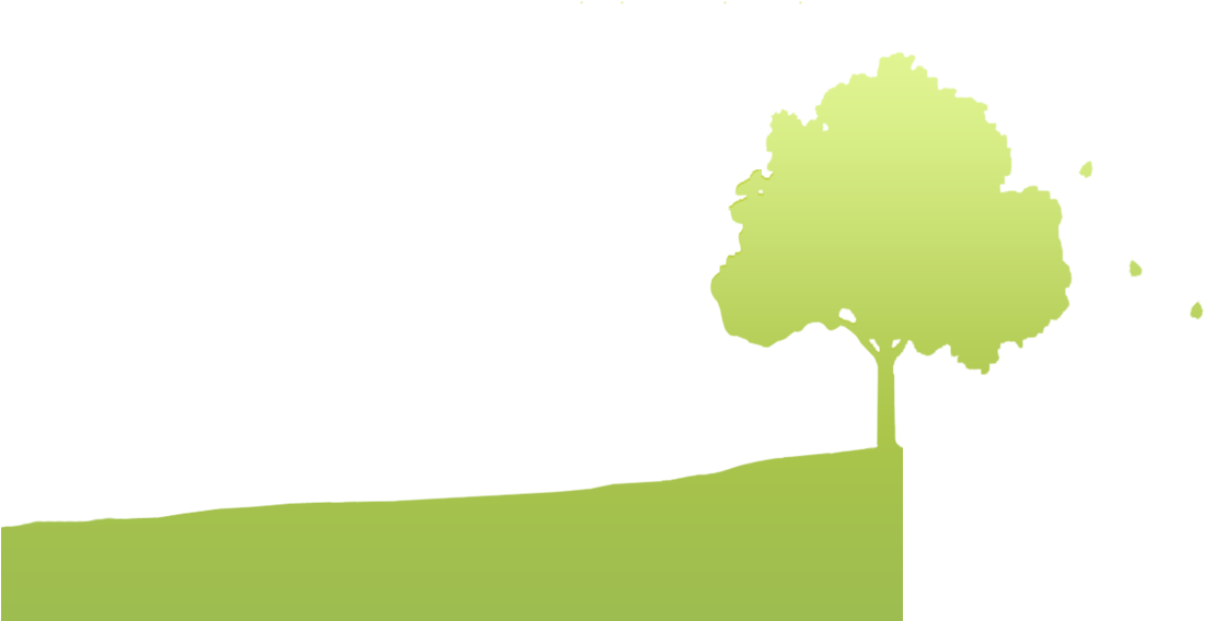 Planting & Tree Care - Boom (1110x603), Png Download