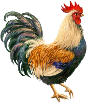 Petuh - Cross Stitch Patterns Roosters (500x500), Png Download
