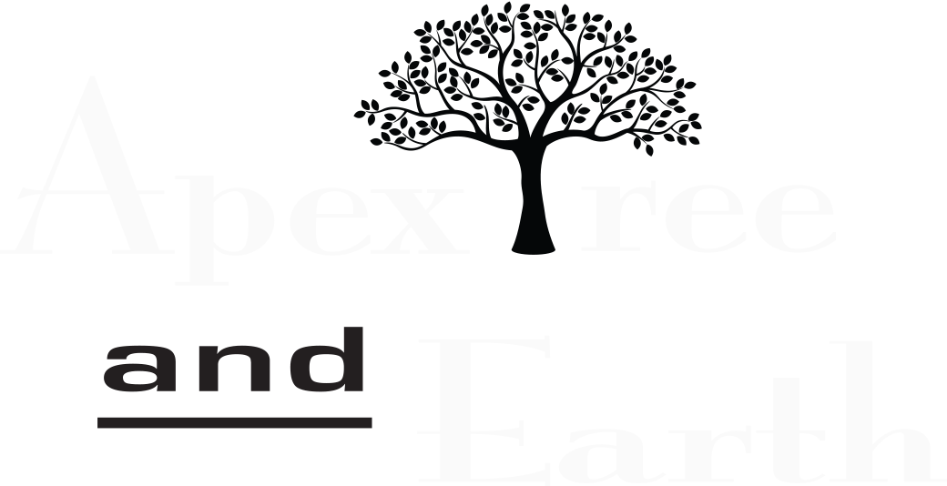 Follow - Genealogy Basics In 30 Minutes By Shannon Combs-bennett (1040x534), Png Download