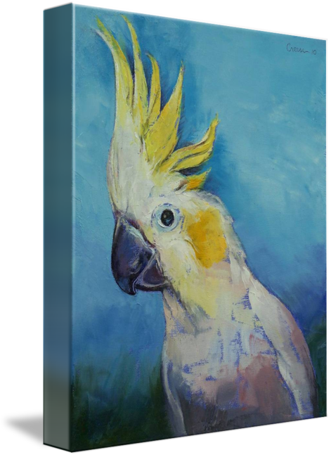 Transparent Stock By Michael Creese Pinterest Buy Prints - Cockatoo Art (471x650), Png Download