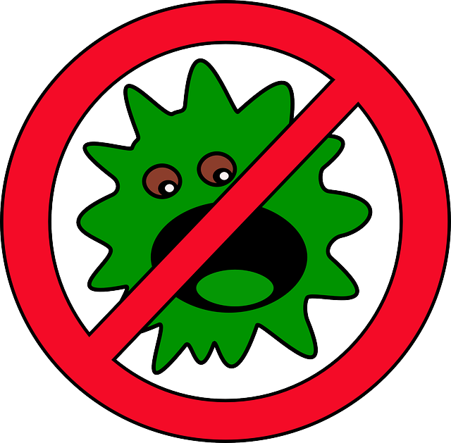 Computer, Stop, Green, Virus, Bug, Infection - Virus Clip Art (640x629), Png Download