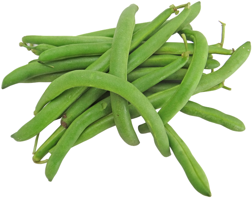 Green Bean Png - Green Beans Png (883x720), Png Download