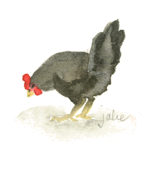 Biddy1 - Rooster (520x600), Png Download