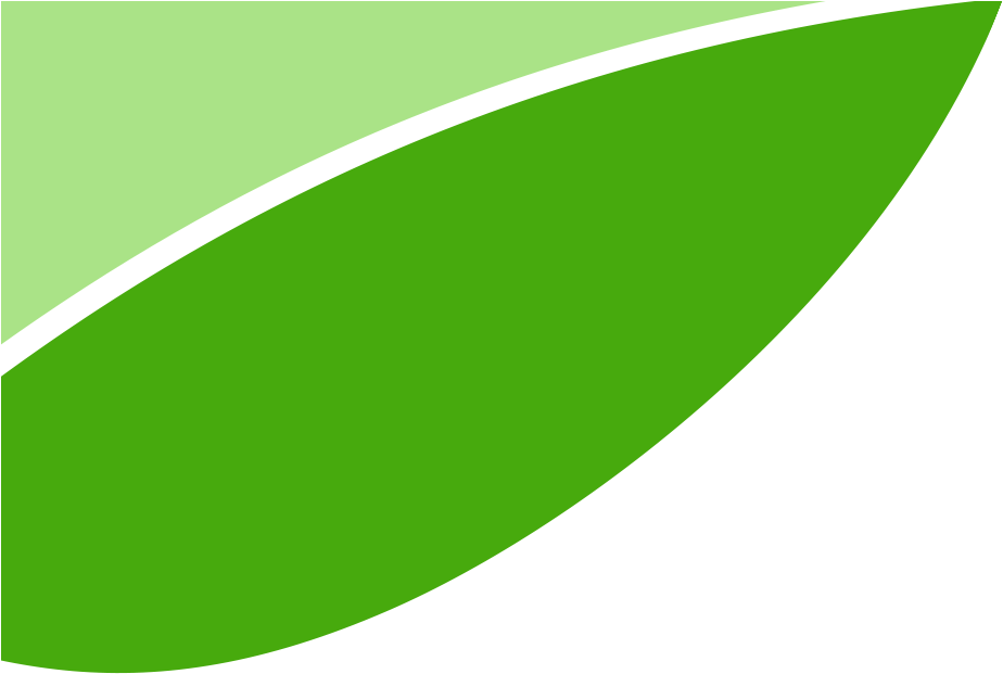 Leaf (1300x620), Png Download