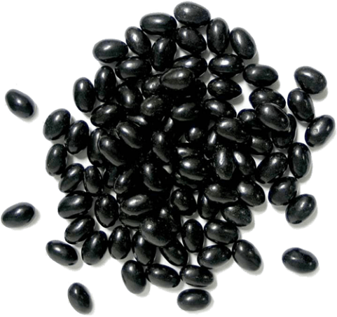 Free Png Black Beans Png Images Transparent - Black Soybean Png (480x480), Png Download