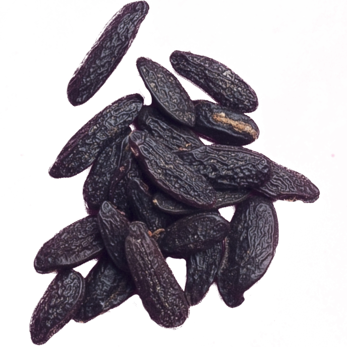 Download Tonka Bean PNG Image with No Background