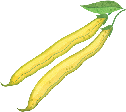 Yellow Beans (500x500), Png Download