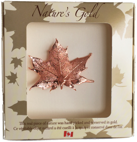 Maple Leaf Brooch - Bronze Canadian Maple Leaf Brooches (480x480), Png Download