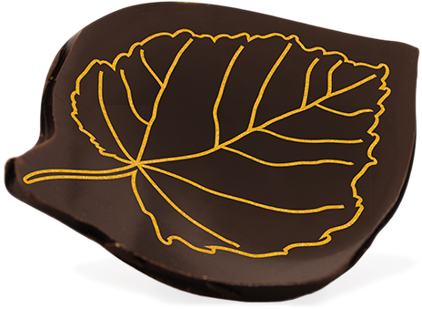 Dark Chocolate Leaves - Thread (500x500), Png Download