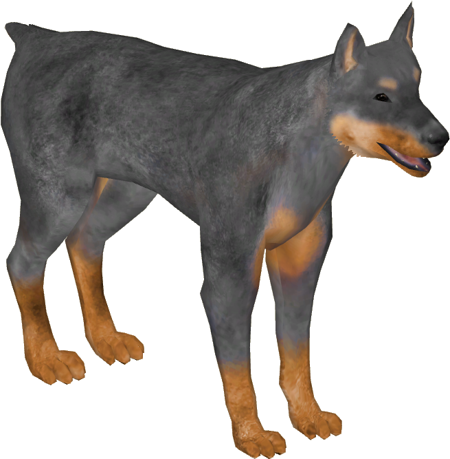 Doberman Pinscher 03 - Wiki (666x666), Png Download