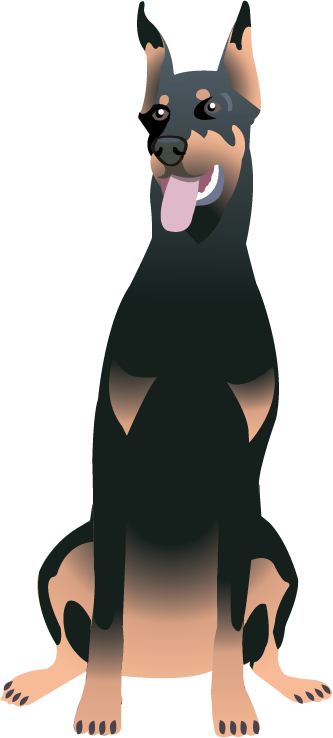 Doberman - Doberman Clipart Transparent (333x738), Png Download