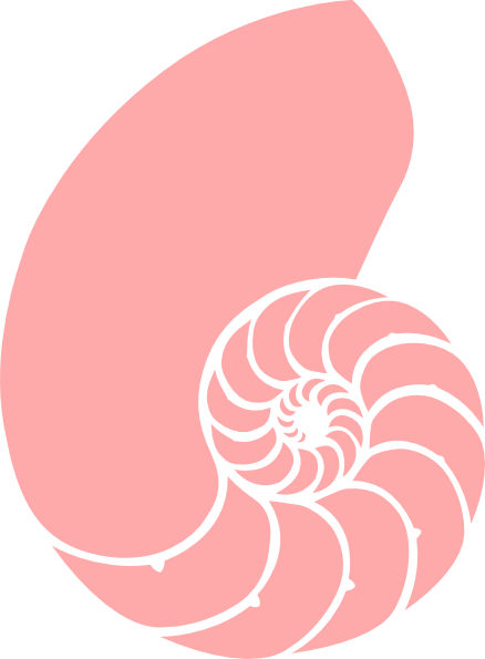 Pink Nautilus Clip Art At Clker Com - Spiral Shell Clip Art (438x595), Png Download