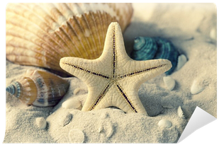 Wall Stickers Wall Decals Style Big Starfish Pvc Wall (400x400), Png Download