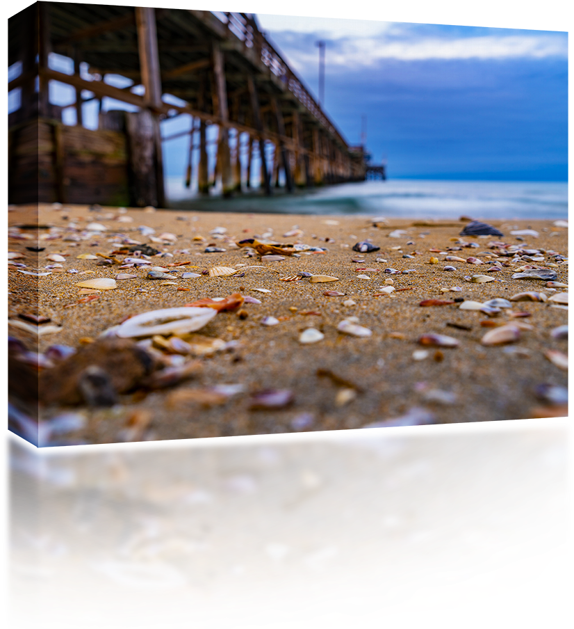Sea Shells At Newport Pier - Sea (1024x1024), Png Download